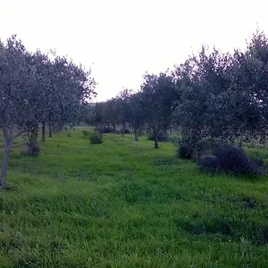 Sa Mitza Casa vacanze
